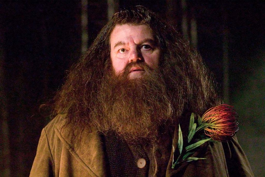 Robbie Coltrane, l’interprète de Rubeus Hagrid dans la saga Harry Potter est décédé
